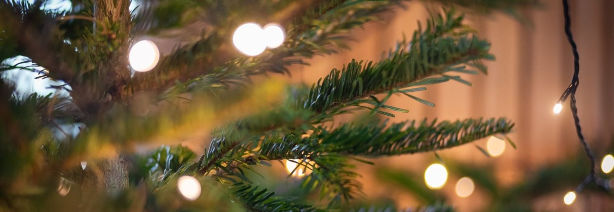 Julgran och juldekoration