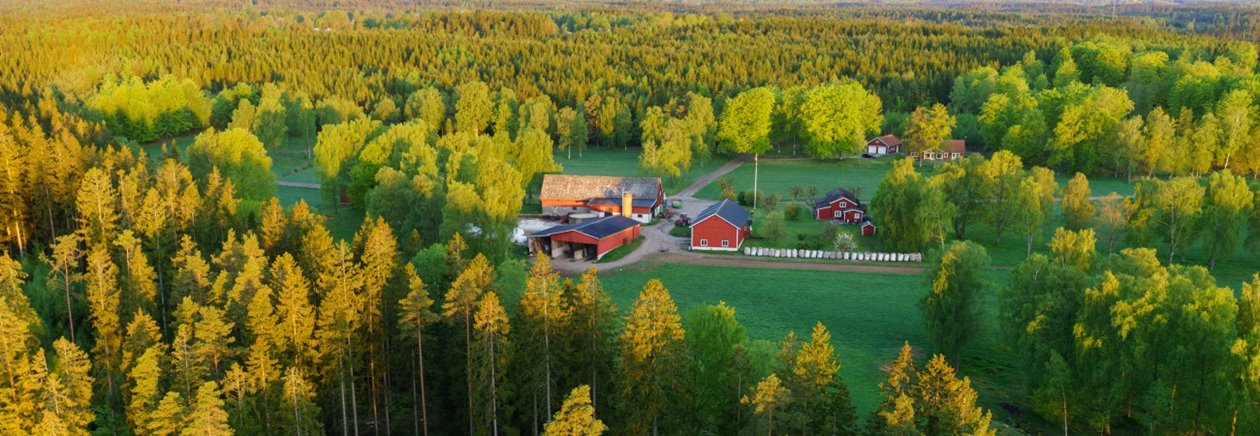Hult, Odensjö, Kronobergs län. Ägare Conny och Roger Eliasson. Tfn0372378310
SWEREF99 TM
6299770.297, 414978.694 Skog i Odensjö i Småland