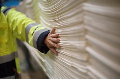 En medarbetare inspekterar massa vid Södra Cell Värö
An employee inspecting some sheets of pulp at Södra Cell Värö