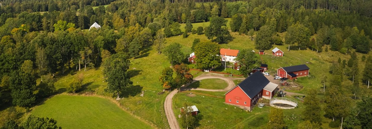 Skogsinspektor medlem 2020.
