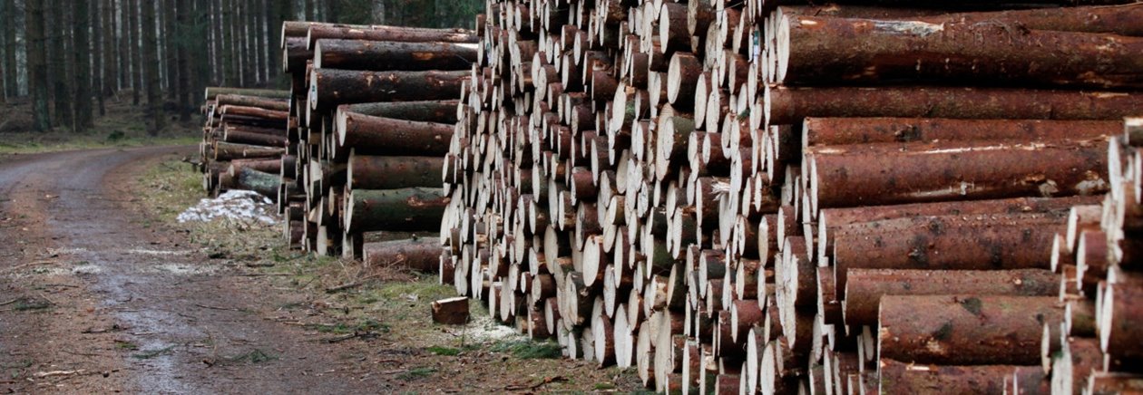 Gran; gallringsved; massaved; kubb; skogsväg