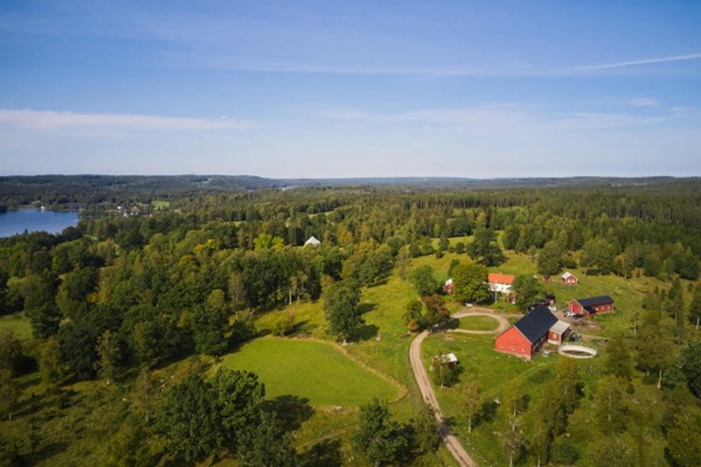 Skogsinspektor medlem 2020.
