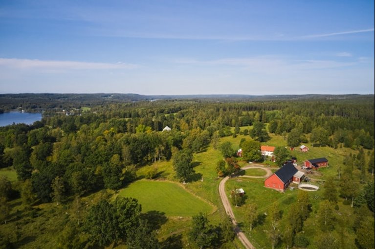 Skogsinspektor medlem 2020.
