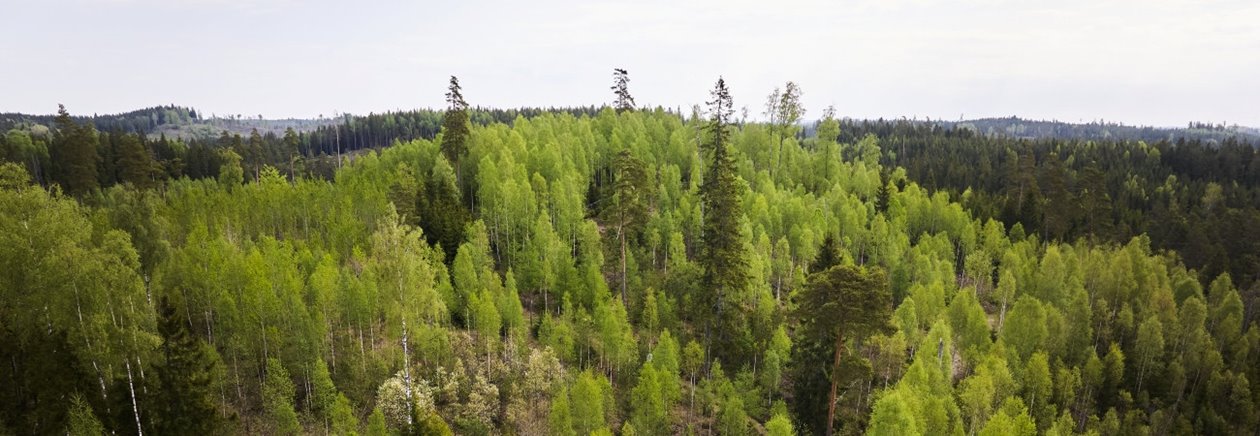 Foto på Mats Helge och Agneta Helge, samt deras fastighet i Sännås Höjden Smålandsstenar