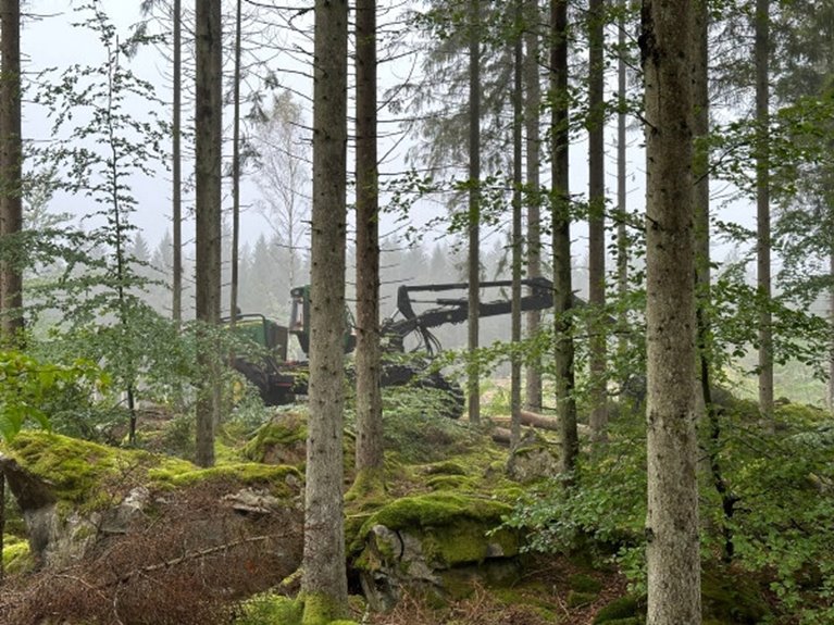 Skördare föryngringsavverkar i stenig terräng.