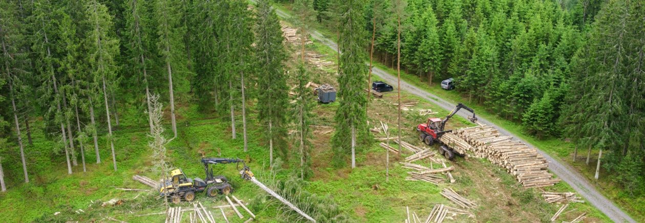 Skog vid Ätran. Entreprenören är CG tel 0706-288405 i Oskarströms VO.