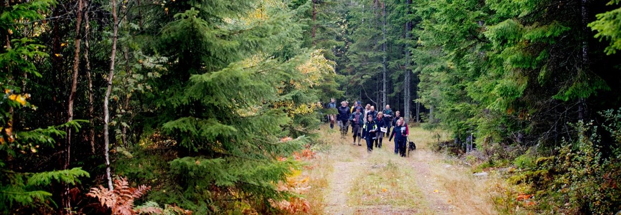 Hovrätten och Skogsstyrelsen och markägare på syn angående föreläggande om försiktighetsmått vid avverkning av skog på fastiheten Hampedal 1:2 nära Töllsjö i Bollebygds kommun.
