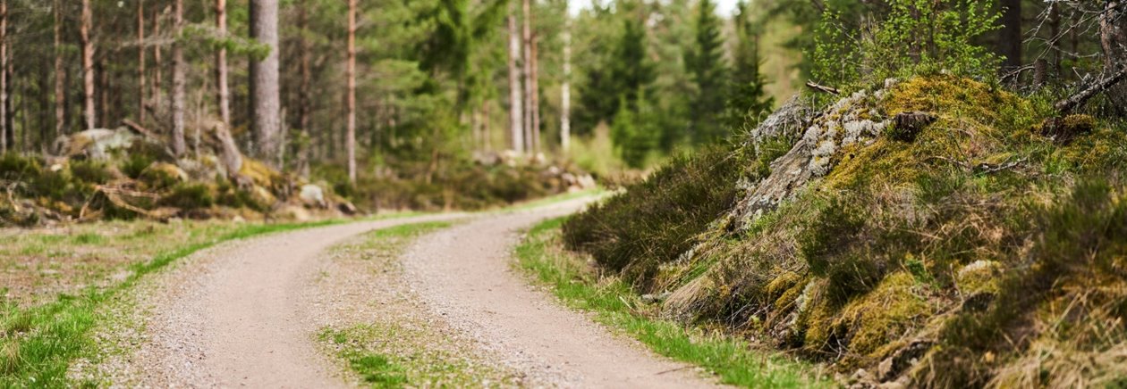 Skogsbilvägar 2021.