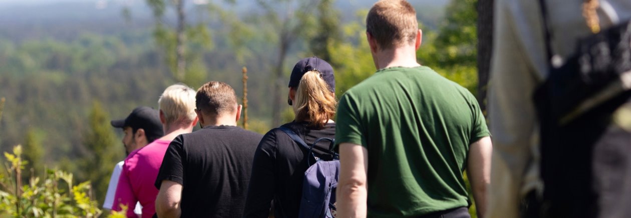Skogsägare i blandad sommarskog.