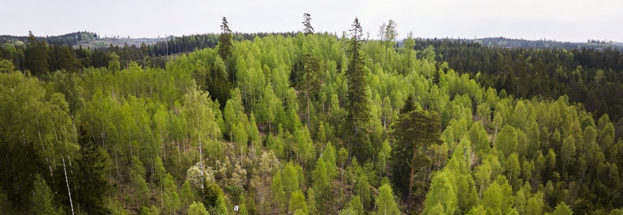 Foto på Mats Helge och Agneta Helge, samt deras fastighet i Sännås Höjden Smålandsstenar