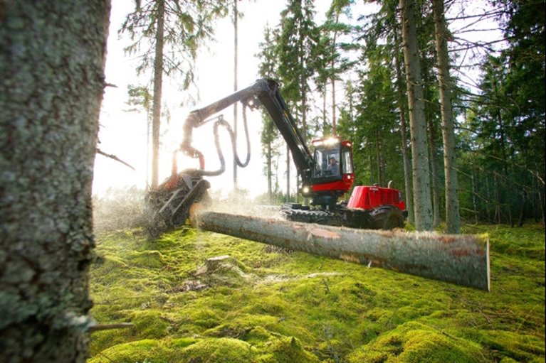 Slutavverkning utanför Vittsjö i Skåne.