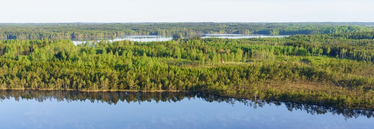 Hult, Odensjö, Kronobergs län. Ägare Conny och Roger Eliasson. Tfn0372378310
SWEREF99 TM
6299770.297, 414978.694 Skog i Odensjö i Småland