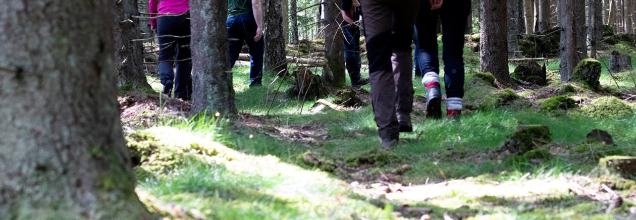 Skogsägare; skogsdag; Södraskolan; utbildning