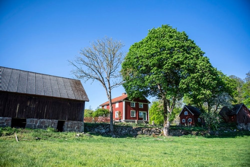 Bilder från Södrakontakt nr 2 2024