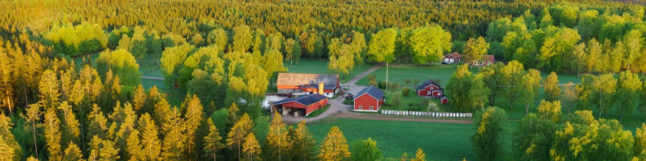 Hult, Odensjö, Kronobergs län. Ägare Conny och Roger Eliasson. Tfn0372378310
SWEREF99 TM
    6299770.297, 414978.694 Skog i Odensjö i Småland