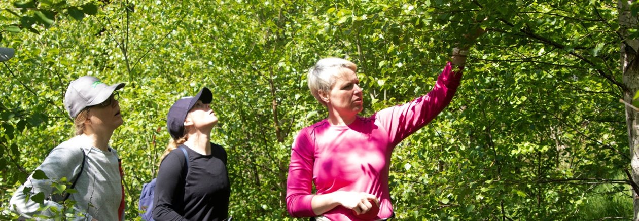 En grupp kvinnor diskuterar röjning i skogen.