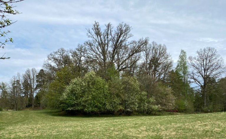 Hänsynskrävande biotop. Bryn.
Södrakontakt nr 3 2024