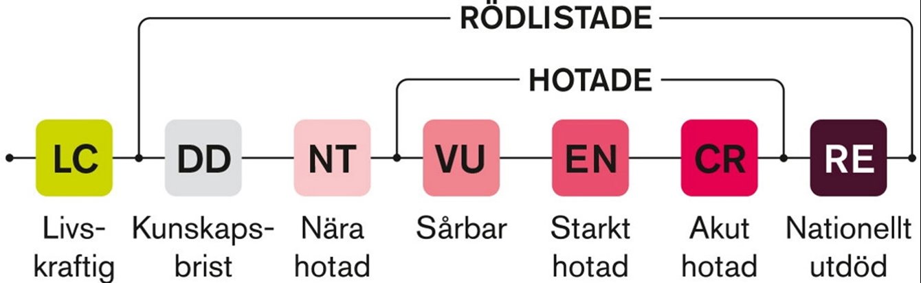 Södrakontakt nr 3 2024