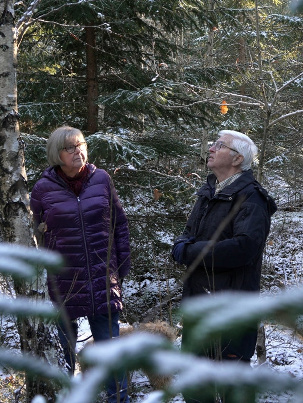 Marianne och Arne Lundin drabbades av stormen Gudrun 8 januari 2005
Här ser vi de 20 år efter stormen 