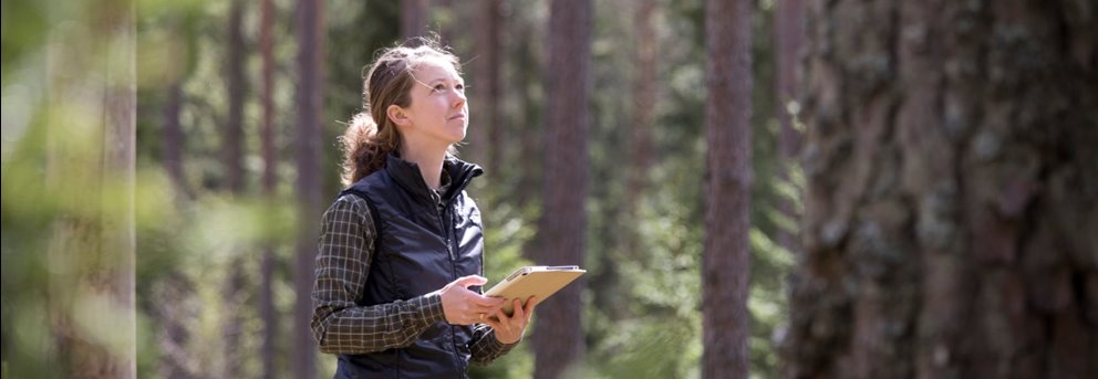Södra appen Skogsägare visas av Lina Samuelsson