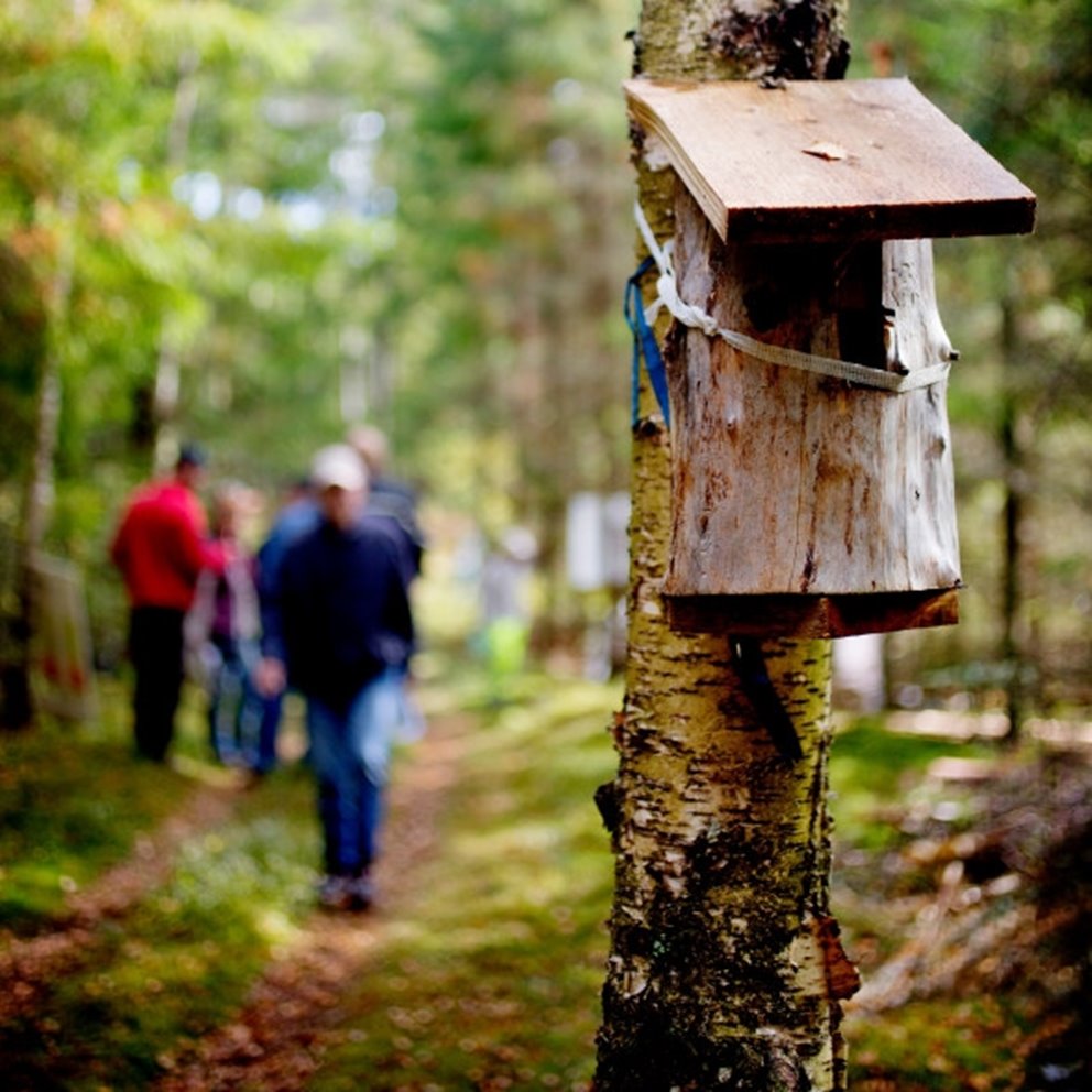 Södra Skogsdag i Sännås, hos Mats och Agneta Helge, mellan Smålandsstenar och Gislaved.
Fågelholk.