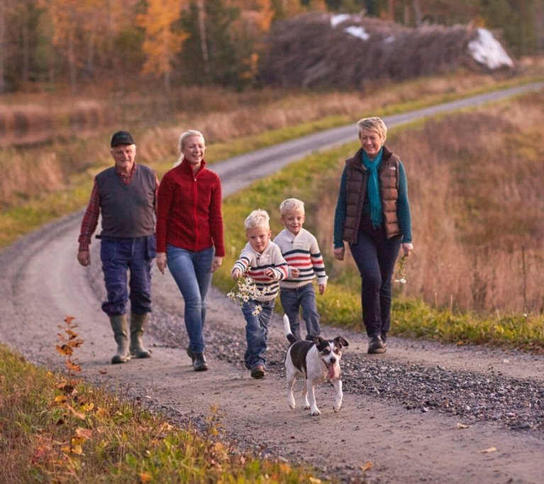 Skogsägar familj går längs skogsbilväg 