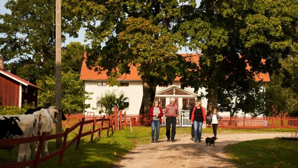 Skogsinspektor medlem 2020. Från vänster Runa Levinsson, Ingemar Levinsson, Katarina Carlsson, Ava Houlihan-Burne (statist). Bakom Katarina - Joakim Carlsson.