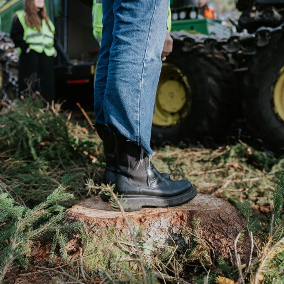 Bilder från ett besök av Filippa K