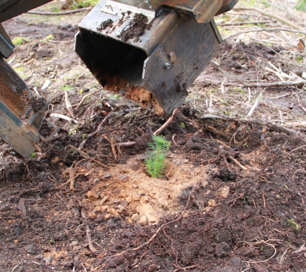BraSatt 01. Med BraSatts aggregat för markberedning och plantering
får varje planta en optimal växtplats.