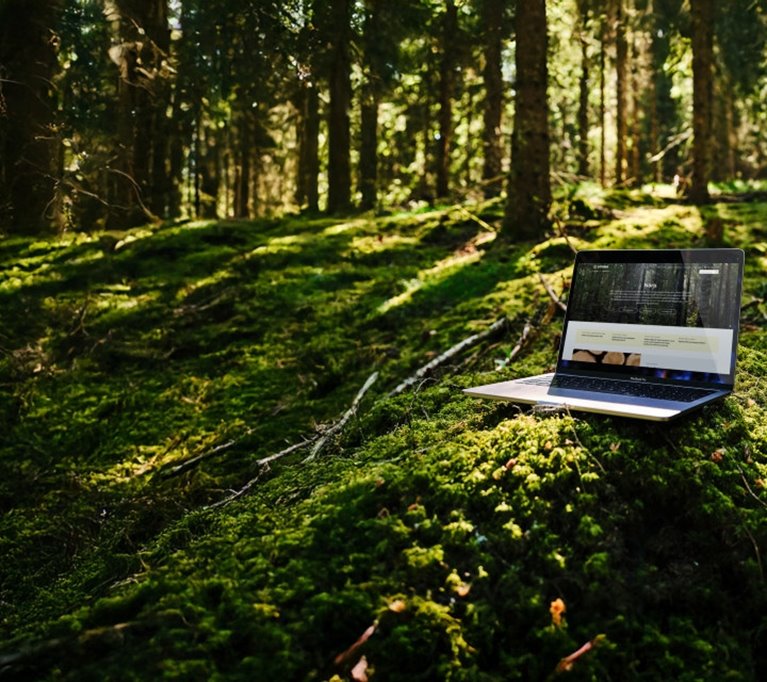 Mockup på dator i skogen som visar sodra.com 2025