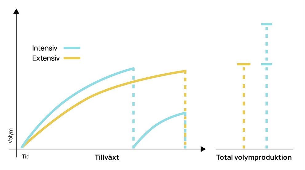 Snabb start och bra föryngringsmetod ger kortare omloppstid.