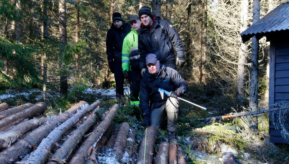Leveransvirke. Rätt längdmätning är viktigt. Här kontrolleras stockens längd och om den klarar max utbytesförlust. Bilden är tagen i samband med en tillredningsrevision.

Bild används till Södraskolans webbutbildning Aptering och virkestillredning för skogsägare.