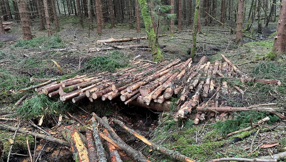 Bra utfört jobb av avverkningslaget.