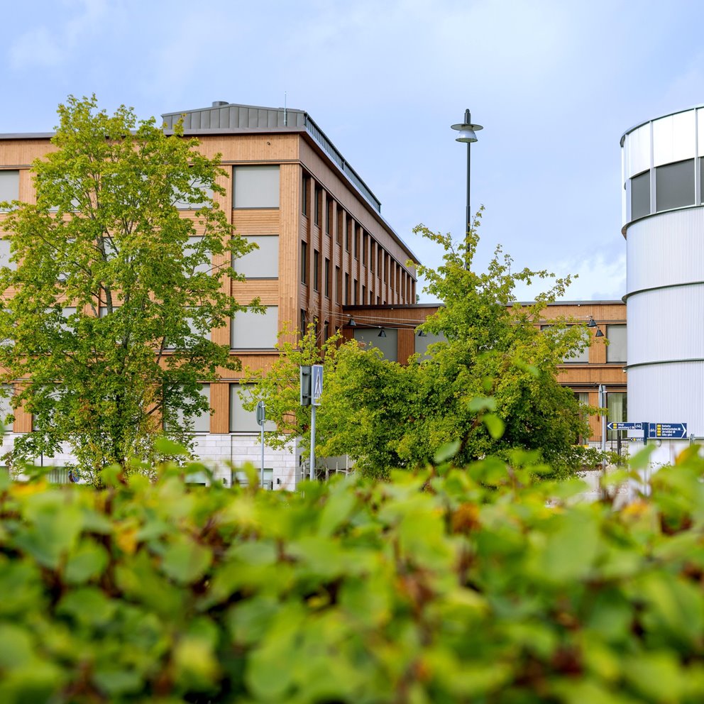 Foto Petrus Iggström