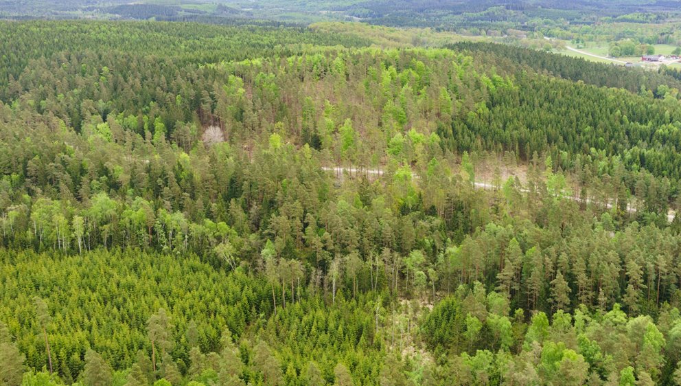 Skog i Småland.
SWEREF99 TM
    6267296.616, 391080.263