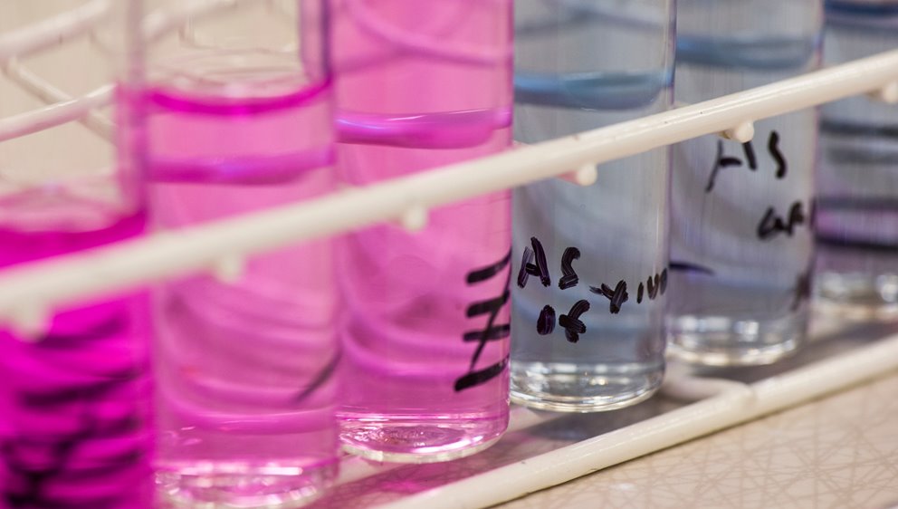 Labbprover från Södras innovativa labb