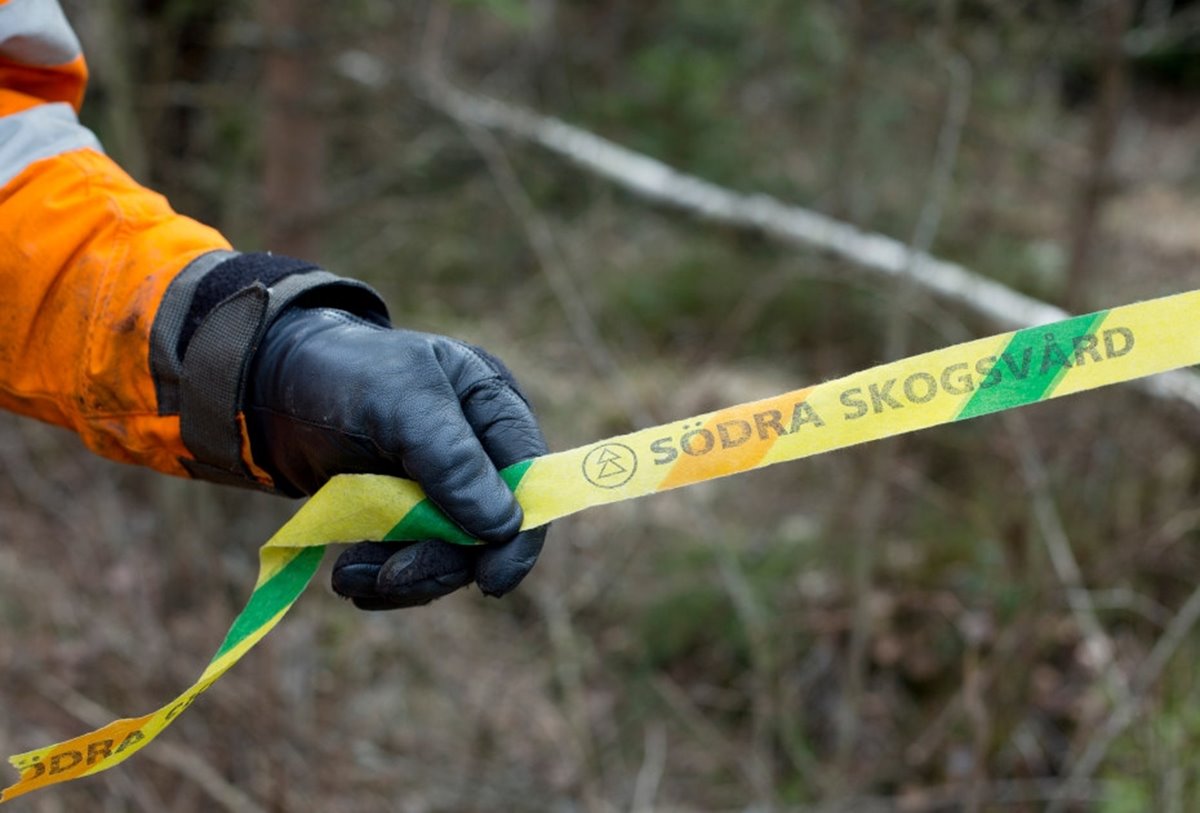 Snitselband Södra skogsvård