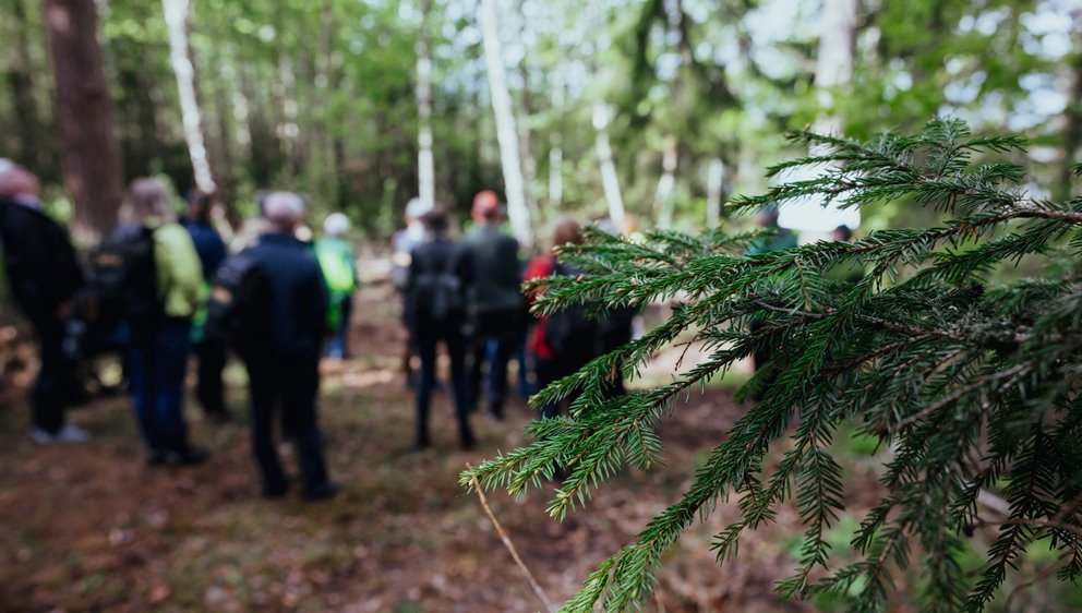 Exkursion i Toftaholm i samband med föreningsstämma 2022