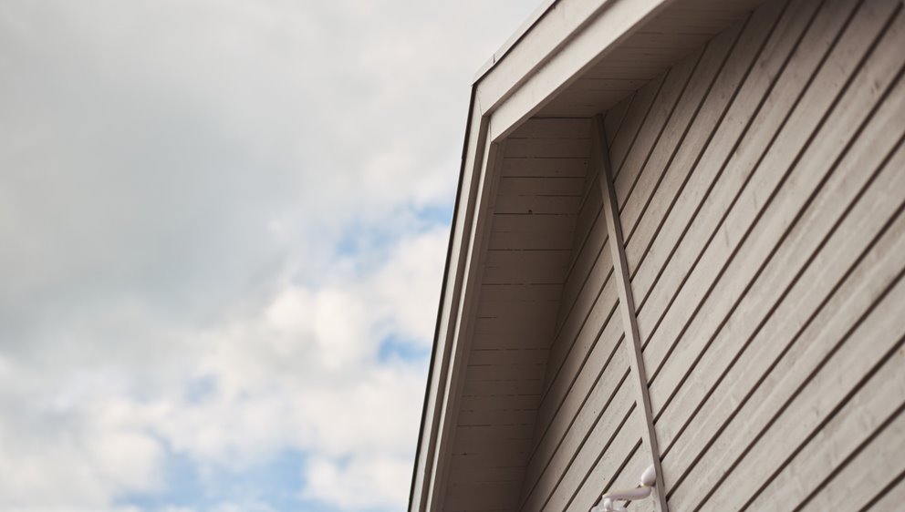 Fotografering av Wood slutprodukter vid sjön Målen sommar 2023, alla medverkande är modeller.