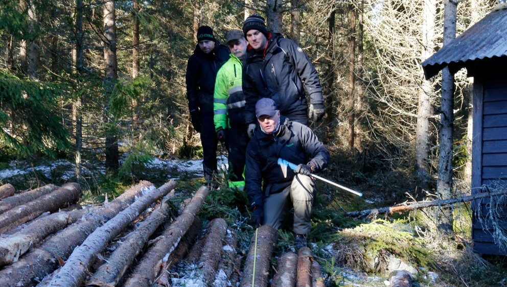 Leveransvirke. Rätt längdmätning är viktigt. Här kontrolleras stockens längd och om den klarar max utbytesförlust. Bilden är tagen i samband med en tillredningsrevision.