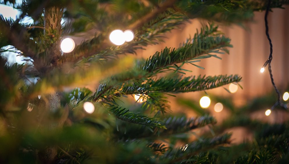 Julgran och juldekoration 