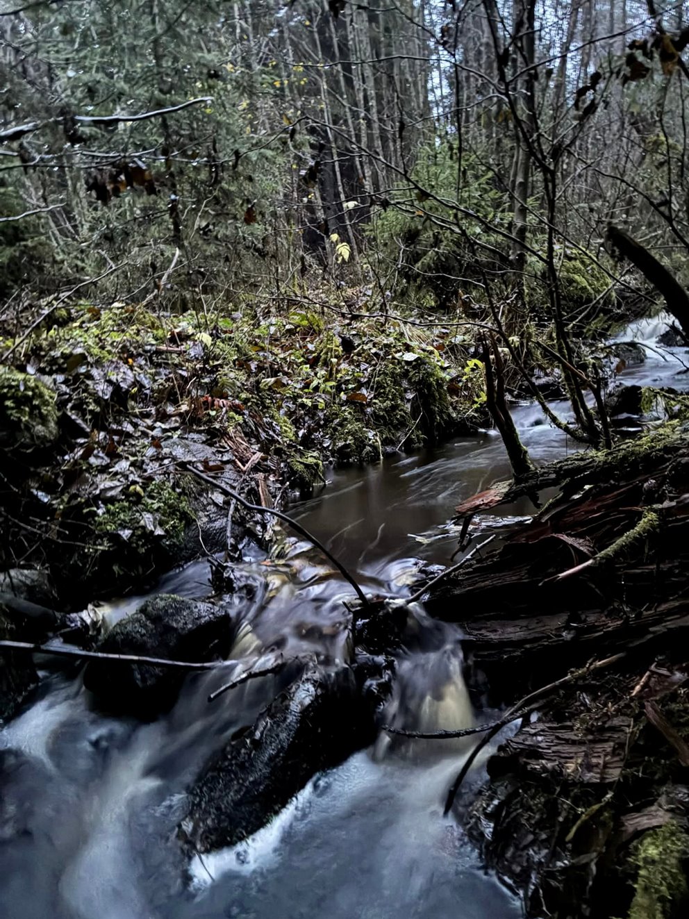Bilder till artikel om hänsyn intill vatten Södrakontakt