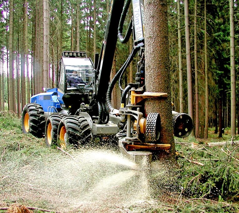 Skogsbruk. Slutavverkning. Slutavverkningsskördare. Rottne. Slutavverkningsaggregat. Timmer.