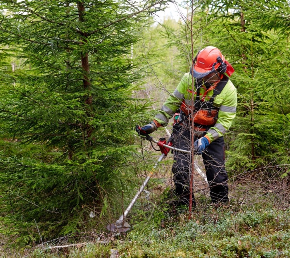 En man som röjer i skogen