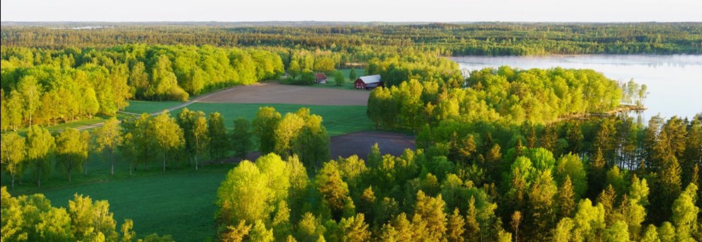 Hult, Odensjö, Kronobergs län. Ägare Conny och Roger Eliasson. Tfn0372378310
SWEREF99 TM
    6299770.297, 414978.694 Skog i Odensjö i Småland