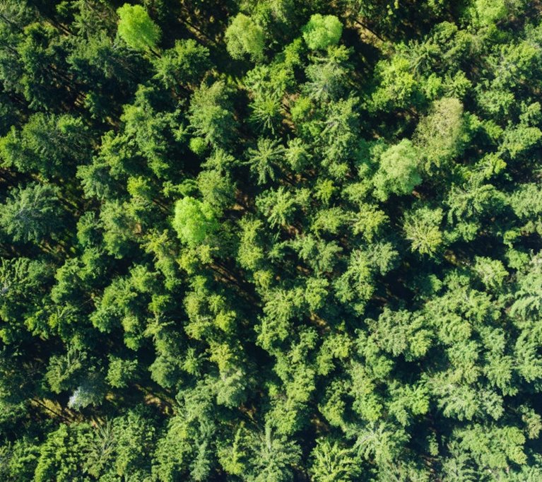 Flygarbild på skog med produktionsvirke