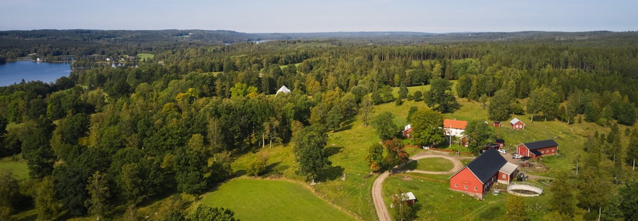 Skogsinspektor medlem 2020.