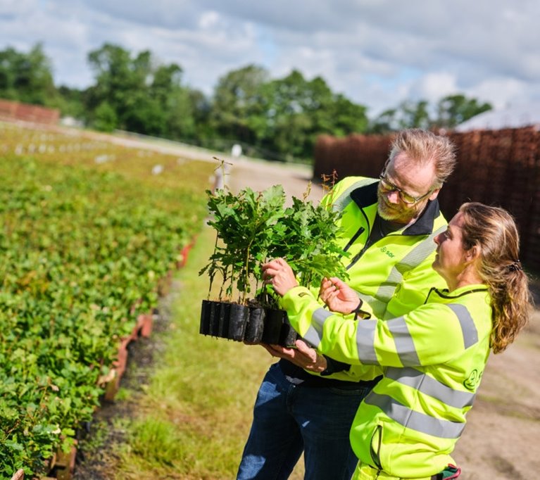 Fotografering plantskolan i Falkenberg