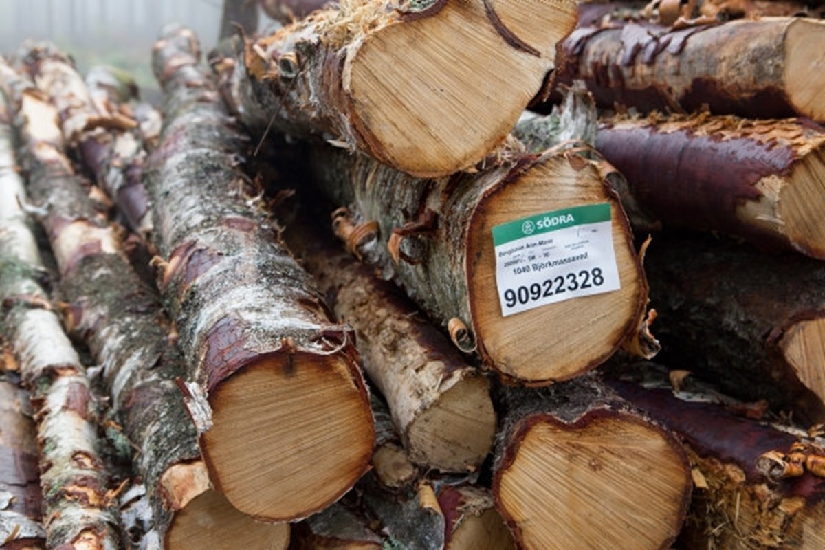 Björkmassaved från Södra