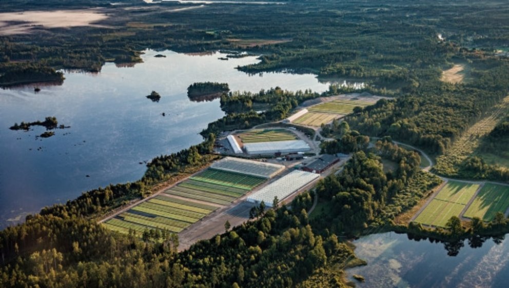 Flygarebild på Södras plantskola 